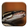 Logo of Snake Sounds android Application 